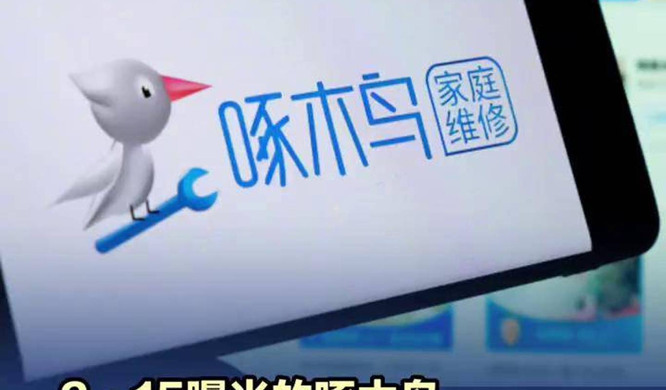 公布一项整改，20多天过去了，只公布了一次。#315曝光的啄木鸟承诺无下文