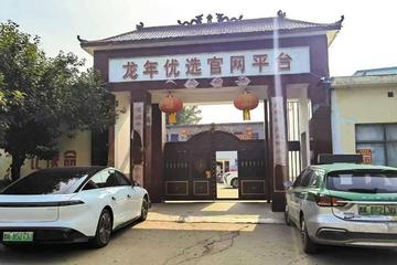 投资“龙年优选”年化收益可超200%？政府部门回应：是传销