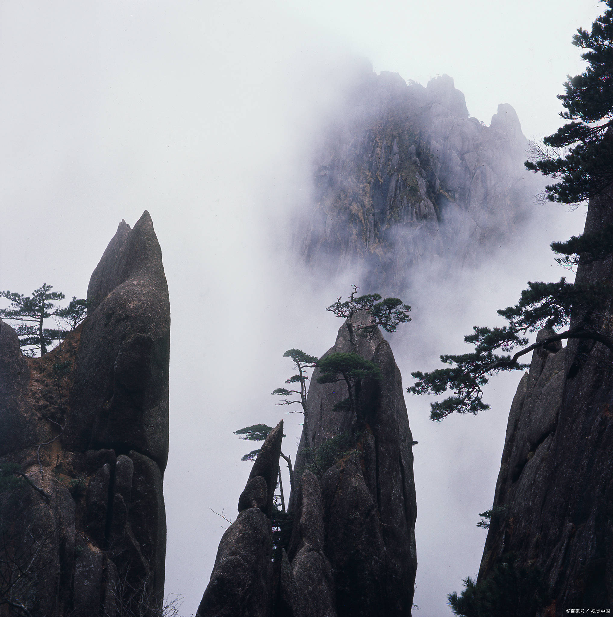 黄山旅游1天自由行攻略，黄山旅游玩一日游价格多少