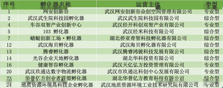 武汉新增12家省级科技企业孵化器