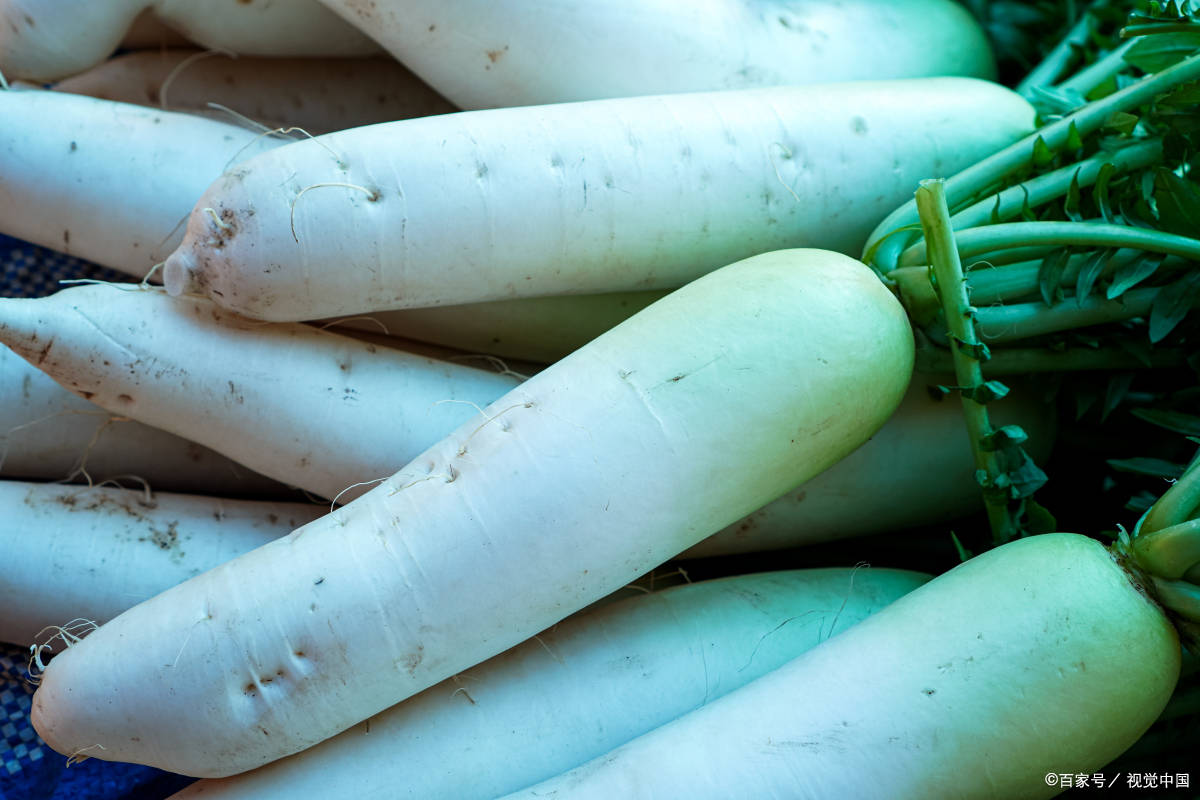 冬天吃萝卜的好处与禁忌，来这里看答案_食用_营养_人们