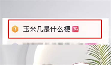 玉米几什么意思
