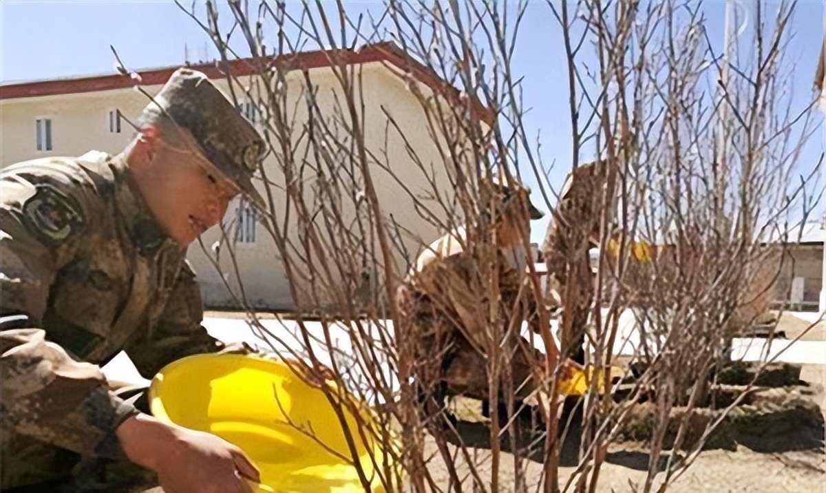 完美电竞我国唯一没有树的县:千年来种不活一棵树为何会这样?(图8)