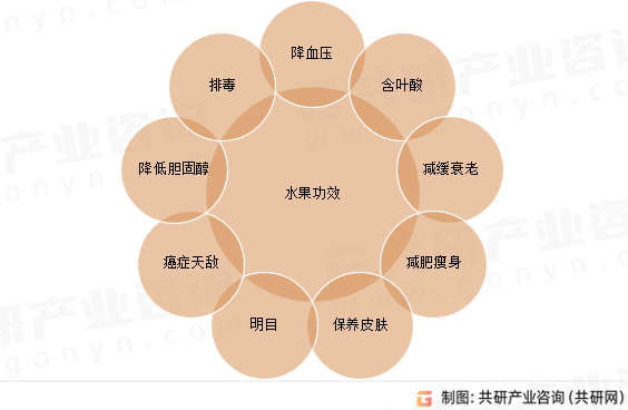 2023年中国水果种植面积、总产量及地域