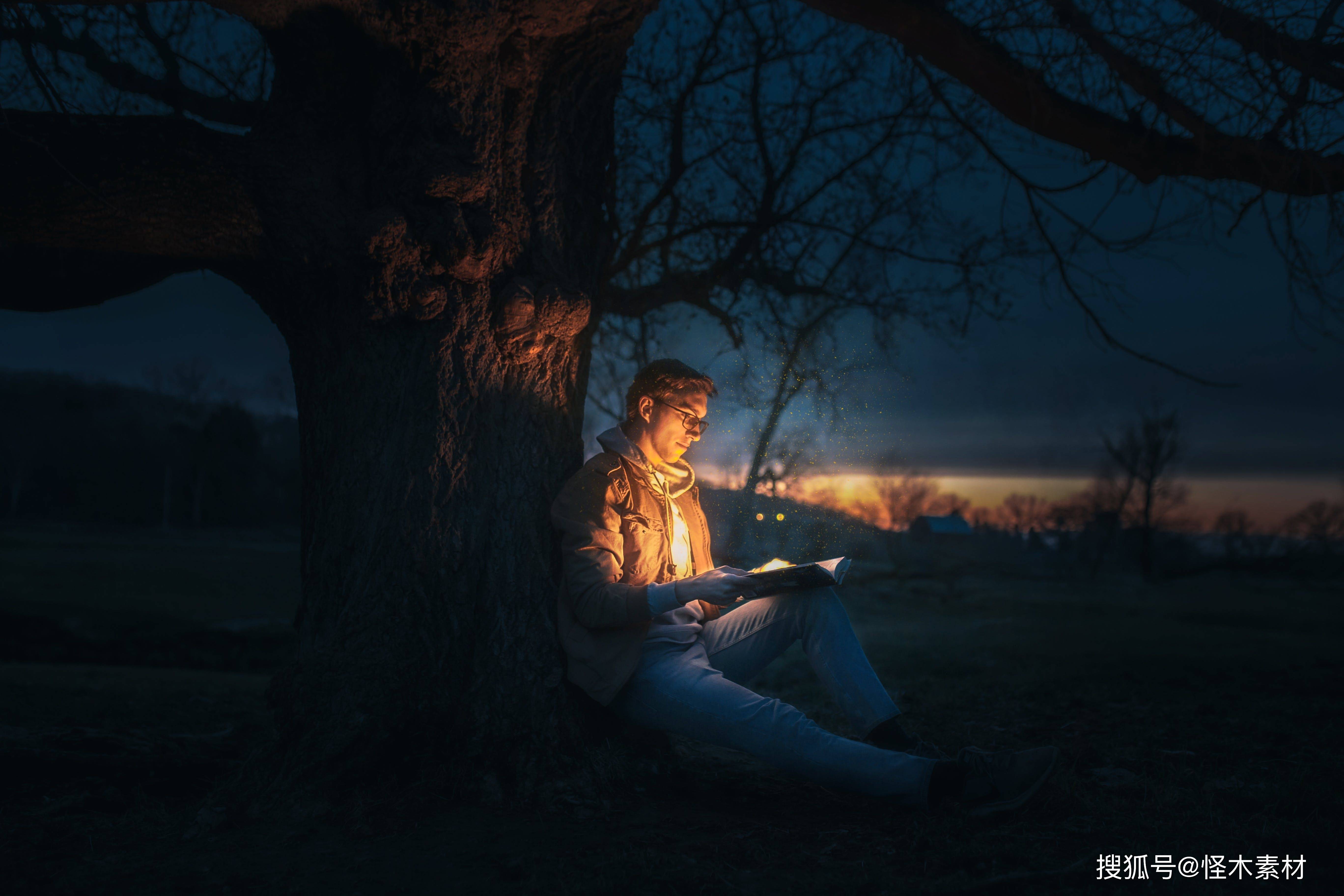 怪木素材网高清视频素材_怎么找视频素材_自媒体视频素材网站推荐