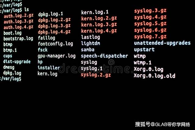 如何充分利用Linux中的ls命令来管理文件系统？