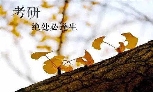考研英语怎么复习？附完整解读！