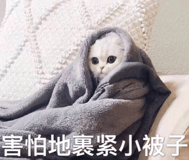 逆水寒开发者自曝：压力太大，晚上枕头下压剪刀才睡得着
