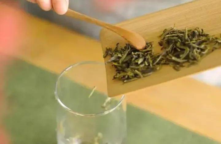 黄茶品种大全，中国四大黄茶介绍