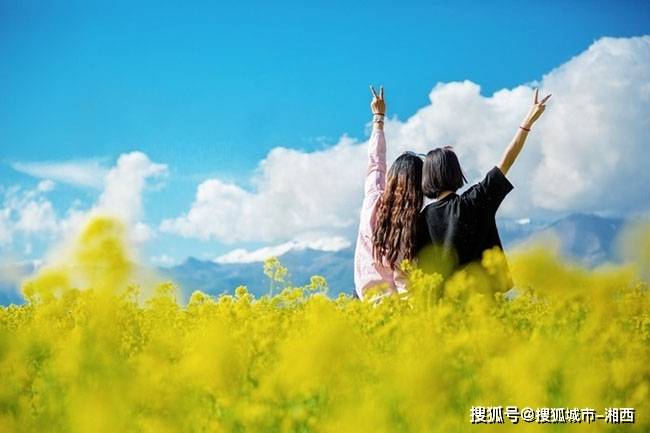 我在青海旅游最好用的攻略来了这是关于我的体米乐 M6验分享(图24)