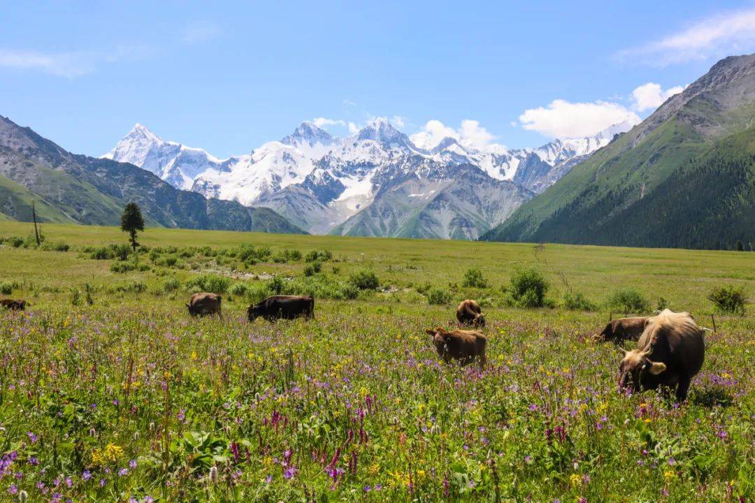 新疆与哈萨克斯坦交界有个县，曾是乌孙国故地，有着世界级的风景