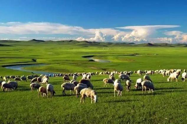 [2024内蒙古旅游笔记] 一份详细内蒙古旅游攻略