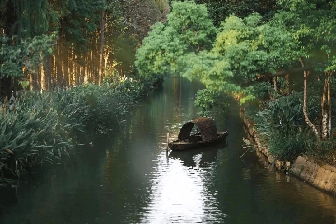 国家级旅游度假区！苏州吴江东太湖生态旅游度假区上榜上有名！