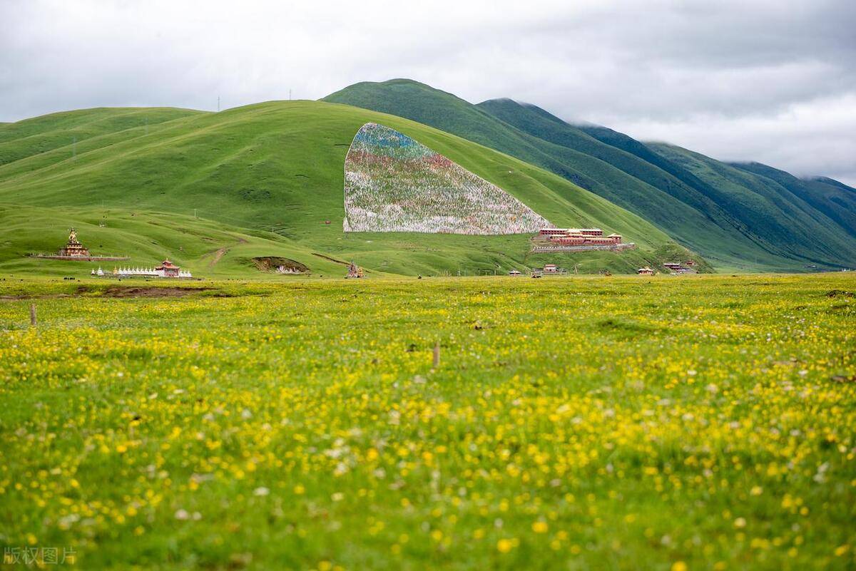 不用远赴新疆和内蒙，川西九大花海草原，六七月将进入颜值巅峰