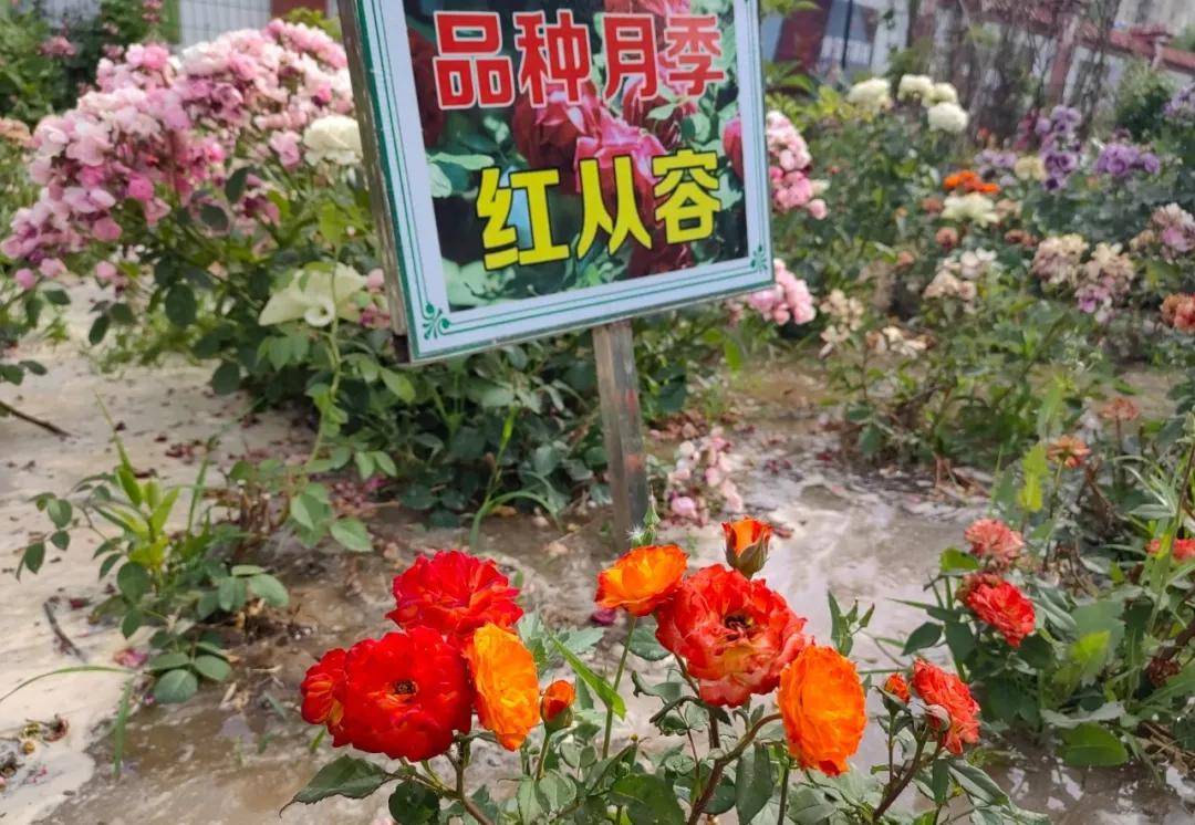 🌸【2023管家婆资料正版大全澳门】🌸_建设全球综合性国际消费中心城市，广州蓝皮书提出四大着力点