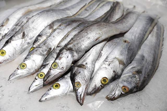 为何吃的带鱼都是冰冻的，而没有活的？鱼贩子：有活的，但吃不起