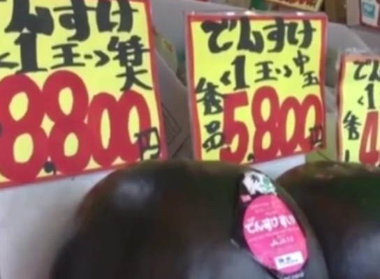 在中国几毛一斤，到日本堪称“天价”，只有土豪吃得起，不可思议