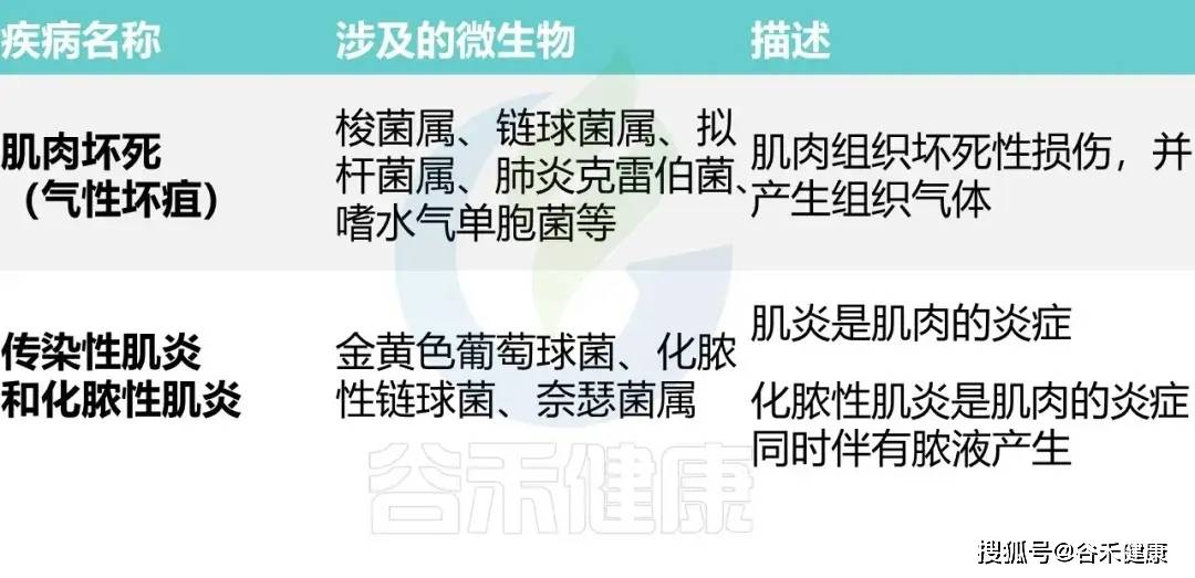 文章配图-10