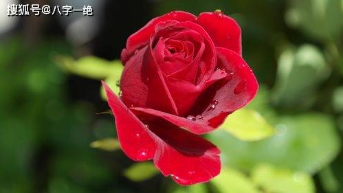 算算你几岁结婚，八字就可以看