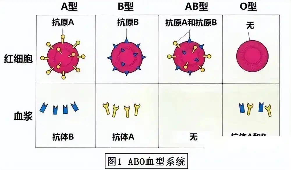 中国组织人事报新闻网 🌸今晚必中一码一肖澳门🌸|天津：以基层为重点 让群众就近享受健康服务  第2张