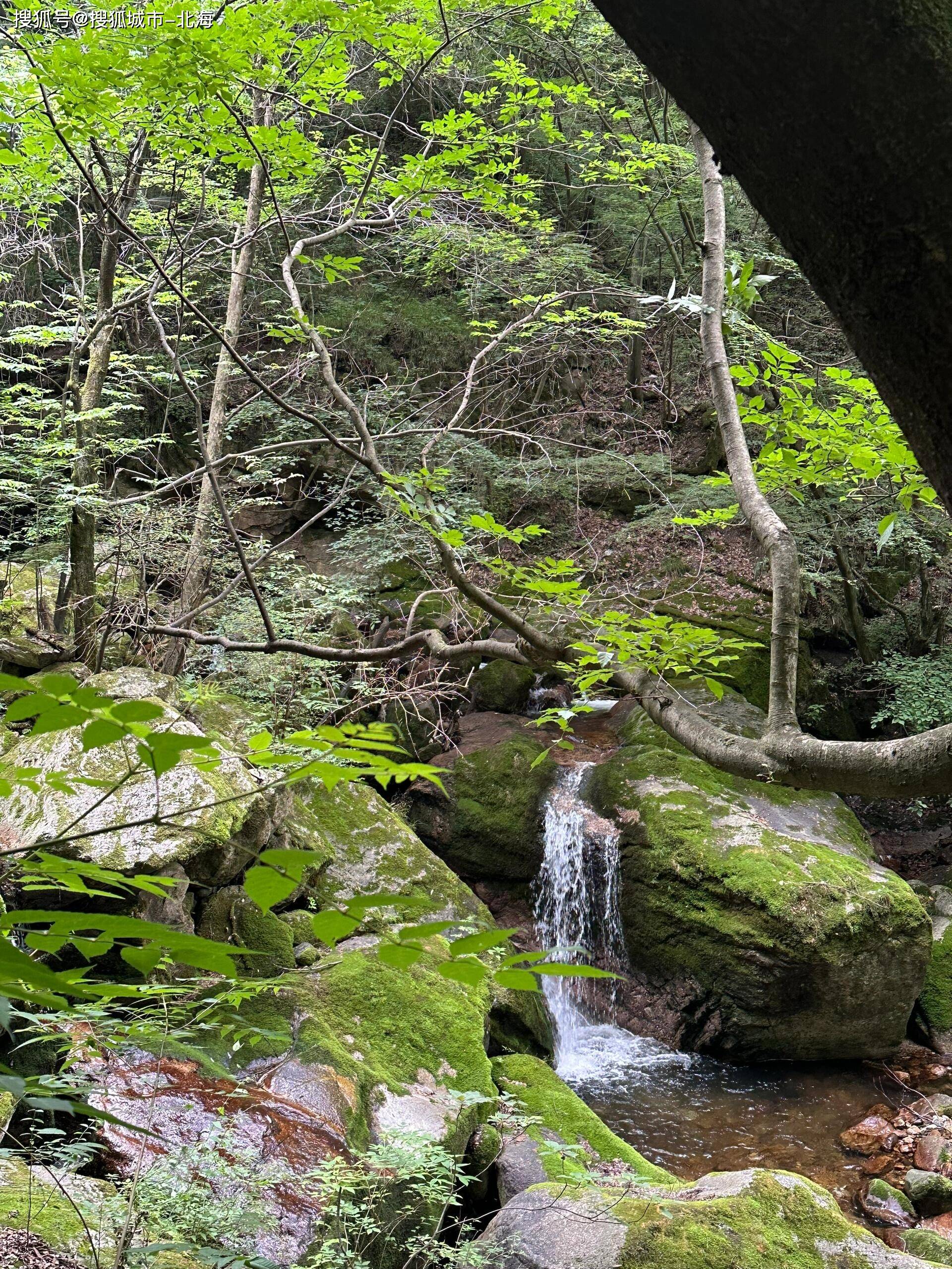 2024最新西安旅游团报名五日游价格？2024最新西安旅游5日游跟团价格