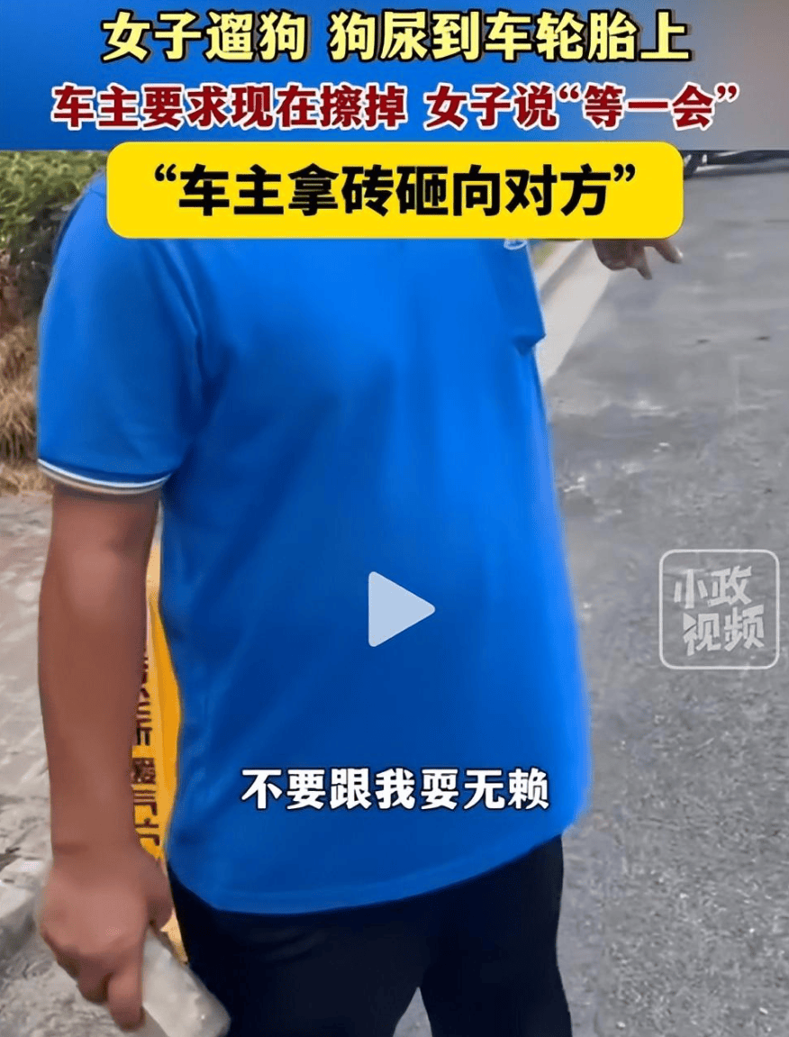 反转!女子遛狗尿轮胎上,被发现后拒绝清理,车主拿砖头砸狗泄愤-狗尿到车轮胎上算命