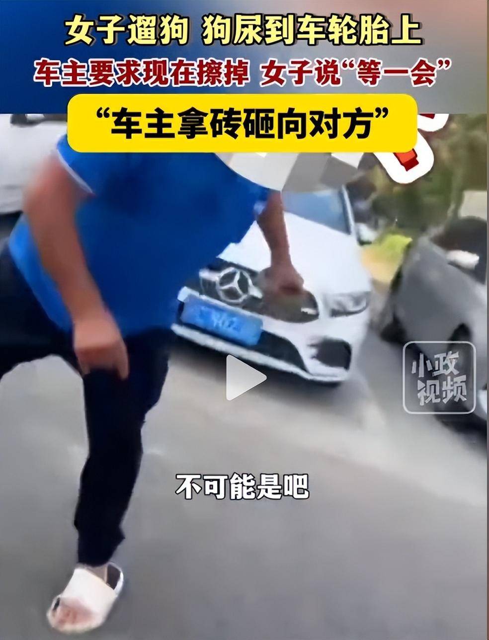 反转!女子遛狗尿轮胎上,被发现后拒绝清理,车主拿砖头砸狗泄愤-狗尿到车轮胎上算命