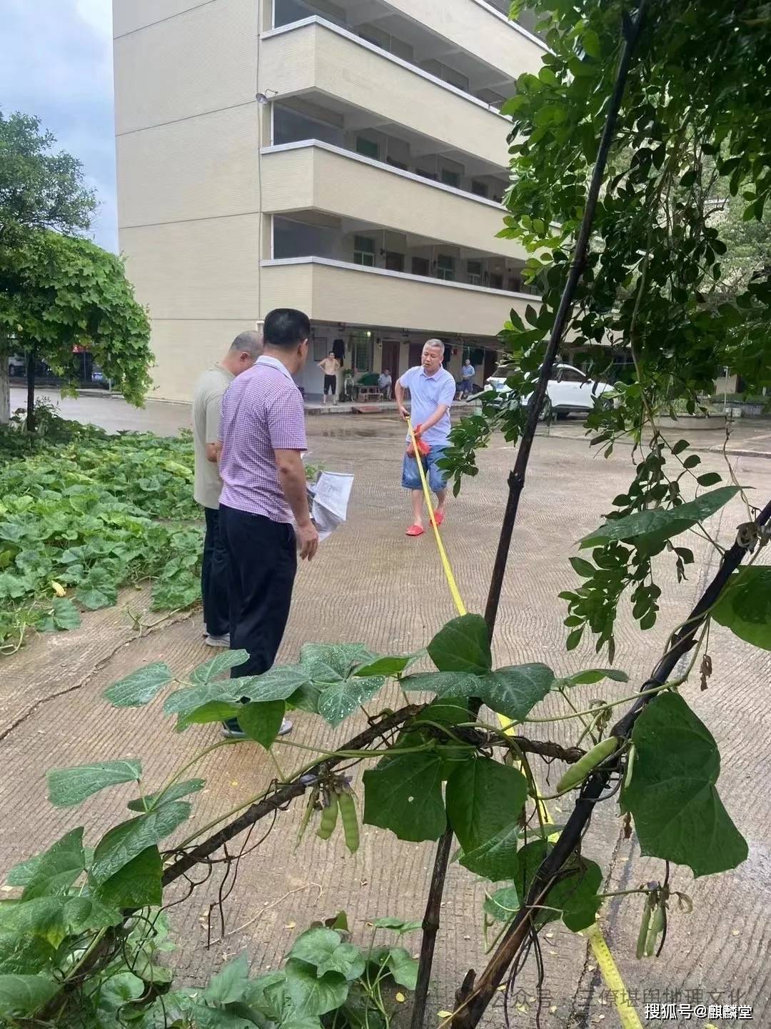 三僚曾真君：应邀在梅州勘查工厂风水及布局