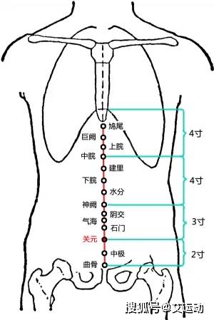 老年人常见病~骨质疏松艾灸疗法(图3)