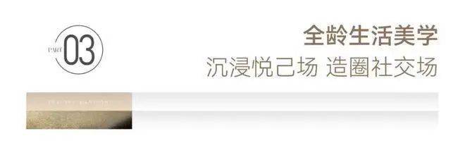文章配图-29