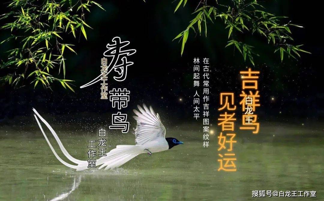 2025乙巳年五运六气，金运不及！