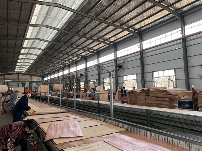 防潮小能手丨桥牌桉木多层板,轻松应对潮湿天气