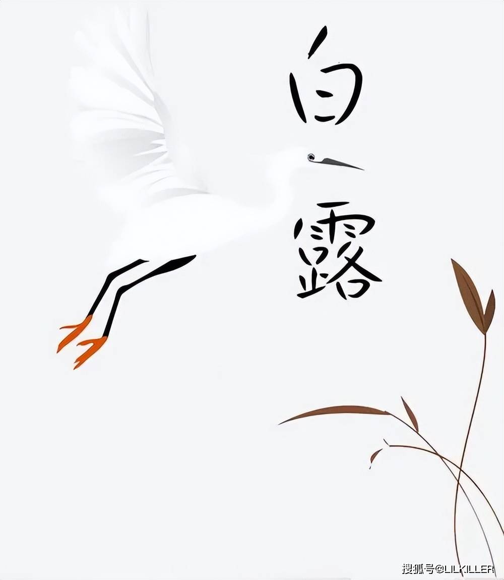 生肖龙，2024年白露节气：9月7日-9月22日综合运势分析！