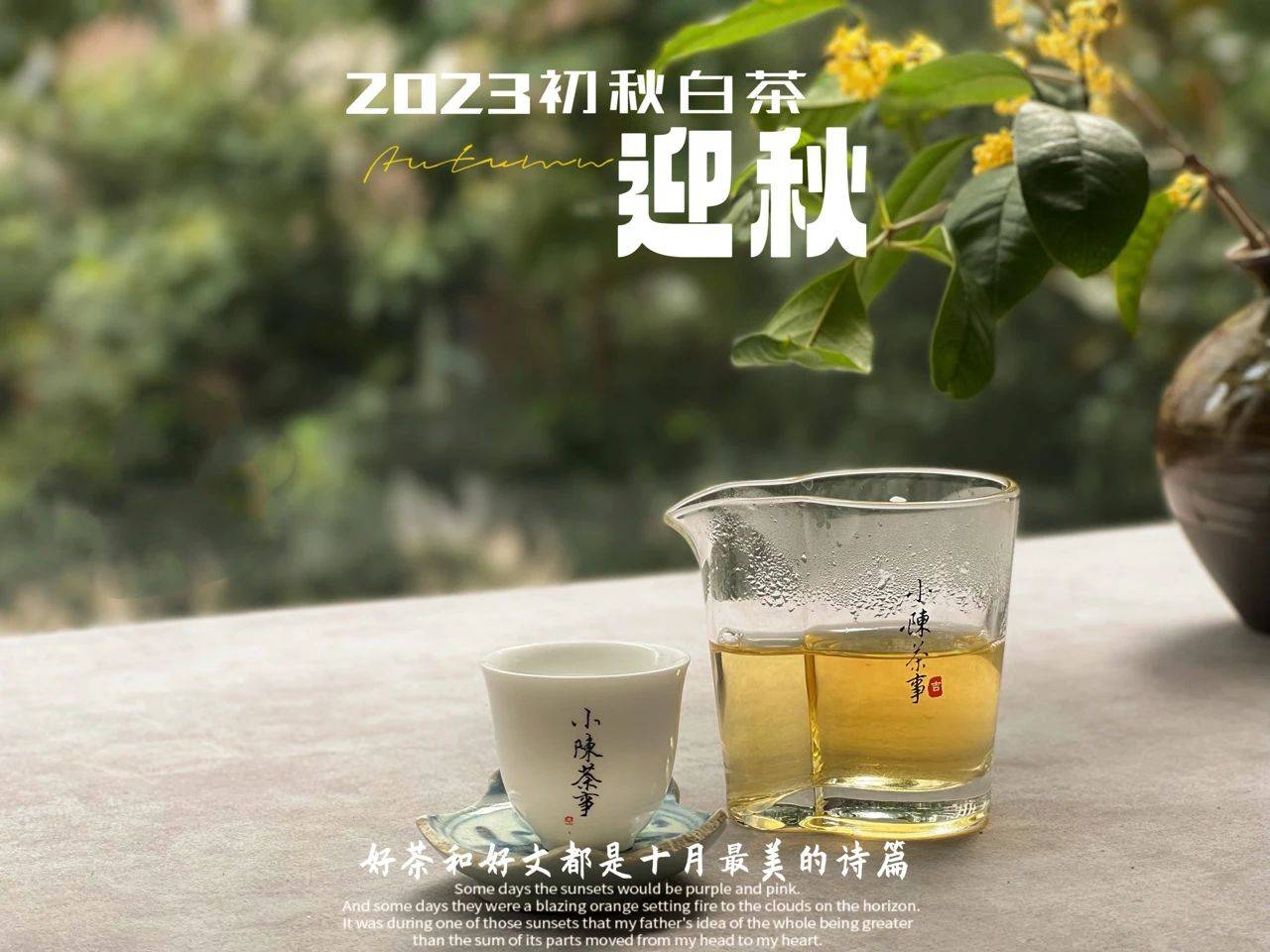 原创
            绿茶、红茶、白茶，无论是什么茶叶，泡茶水温要根据季节变化吗？-第6张图片-福建名茶