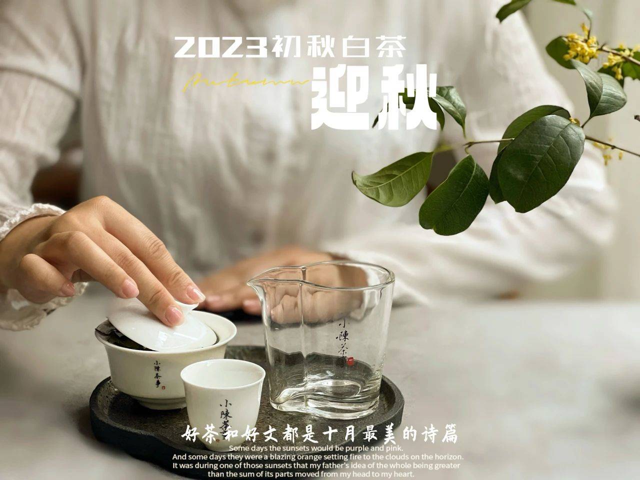 原创
            绿茶、红茶、白茶，无论是什么茶叶，泡茶水温要根据季节变化吗？-第4张图片-福建名茶