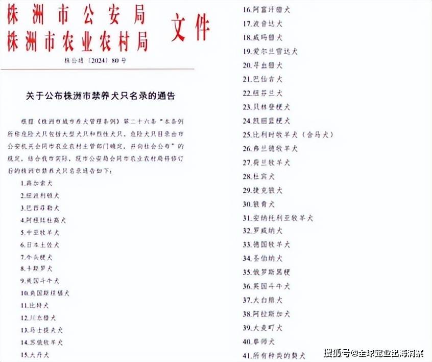 国产宠食品牌市占暴涨一企业推“黑神话”色彩宠物尿垫还有…双赢彩票平台(图6)