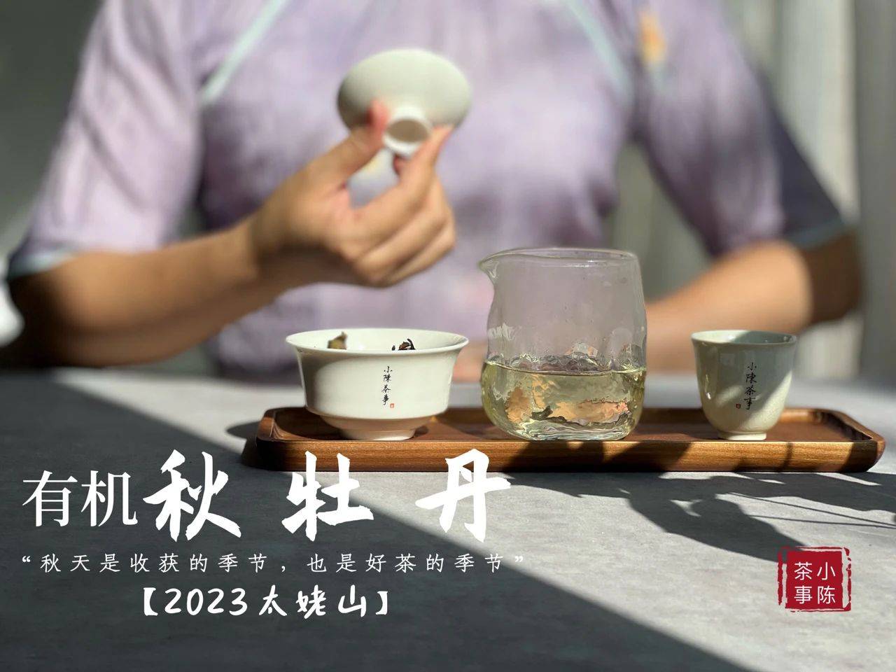 原创
            绿茶、红茶、白茶，无论是什么茶叶，泡茶水温要根据季节变化吗？-第9张图片-福建名茶