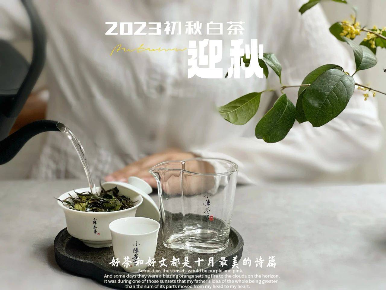 原创
            绿茶、红茶、白茶，无论是什么茶叶，泡茶水温要根据季节变化吗？-第3张图片-福建名茶