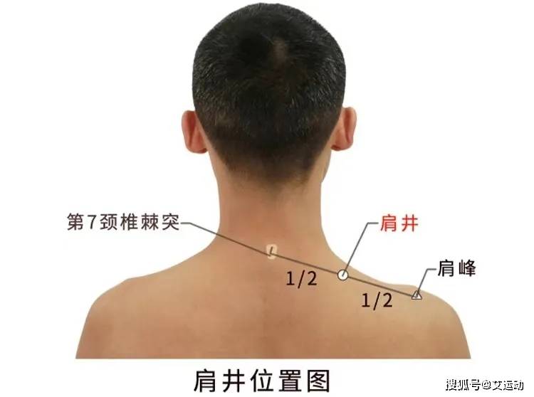 颈肩痛?肩周炎?艾灸疗法轻松缓解!(图4)