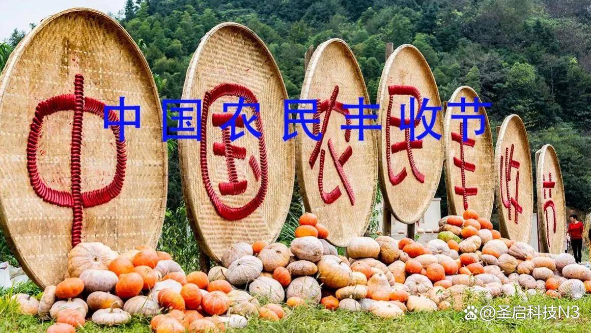 山东各地迎来丰收季-又是一年秋收时!齐鲁大地,谷熟、果香……-山东秋天收什么农作物