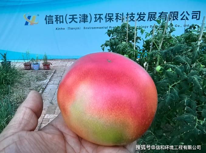 文章配图-2