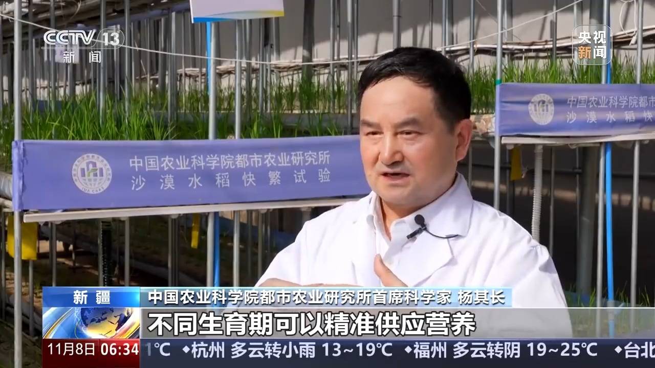 植物工厂长啥样？沙漠里能种水稻？揭秘种菜“黑科技”天博电竞登录(图9)