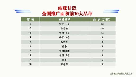 m6米乐官网中国农科院蔬菜花卉所6个甘蓝品种入选全国十大品种(图1)