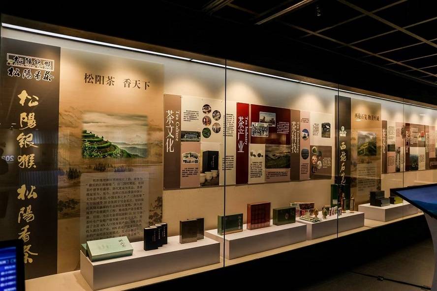 首次集中展示浙江茶必赢官网产业发展风貌“2024浙江茶品牌成就展”开展(图5)