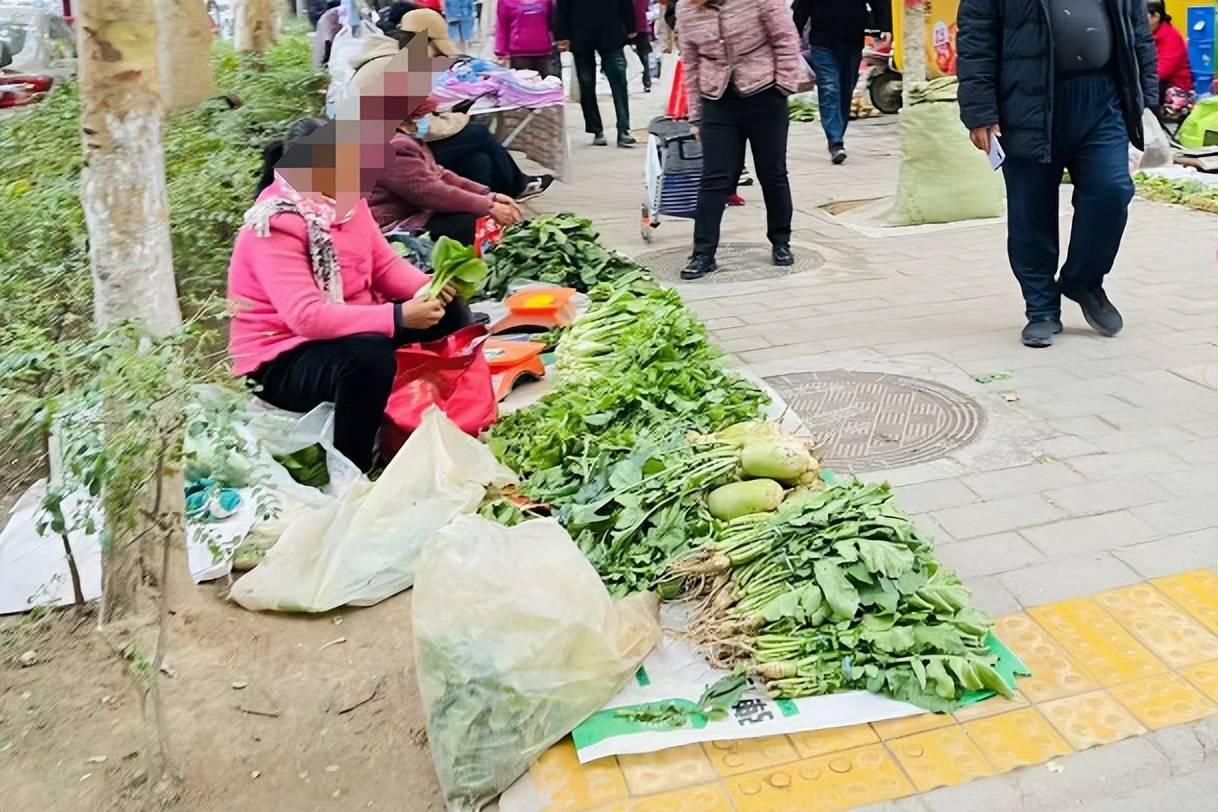 华体会注册街边农民的蔬菜便宜又新鲜为啥很多人还总往超市跑？原因很现实