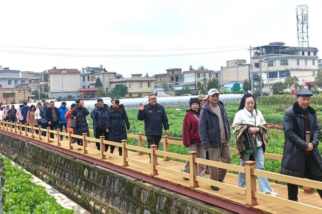 果博旅居云南·入昆第一站嵩明丨住嵩旅居游客探访上禾社区感受现代农业与文化融合之美(图4)