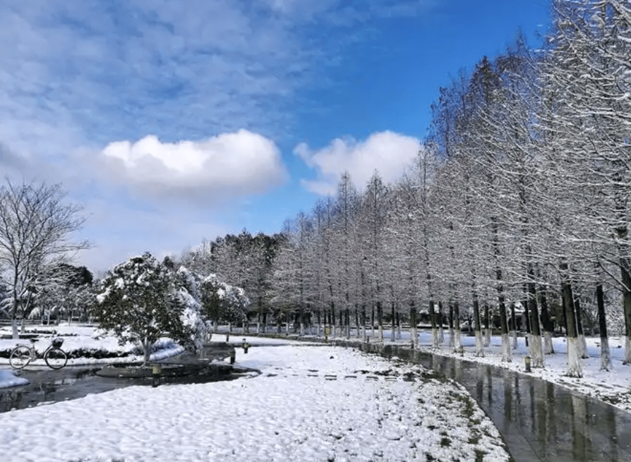 美嘉体育网址自驾游全攻略：打造完美旅程享受退休前最后的狂欢(图3)