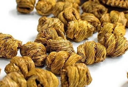 霍山石斛十大功效，你不可不知！