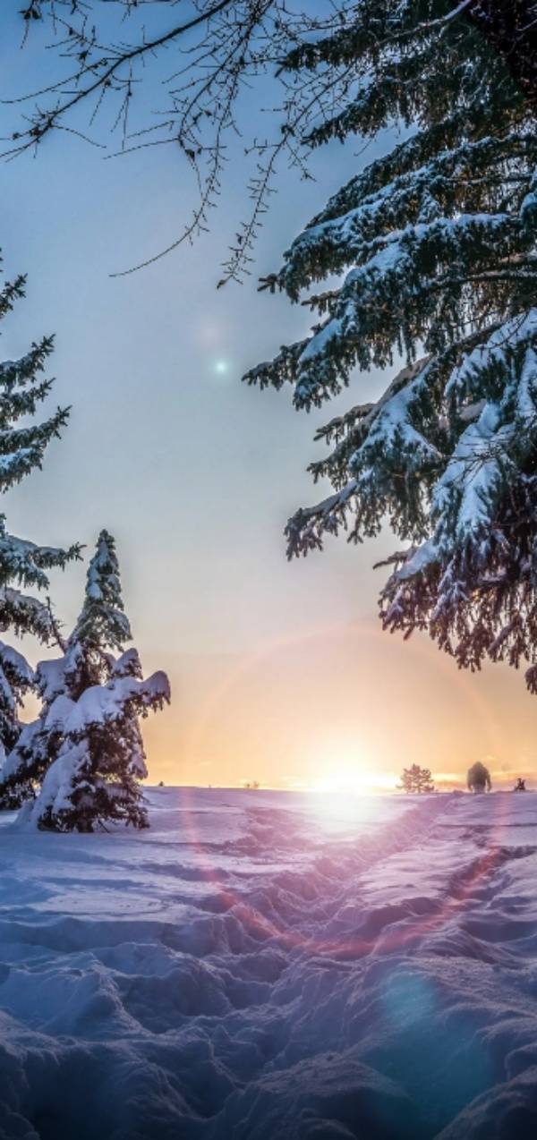 超漂亮的雪景手机壁纸图片_唯美意境下雪图片大全