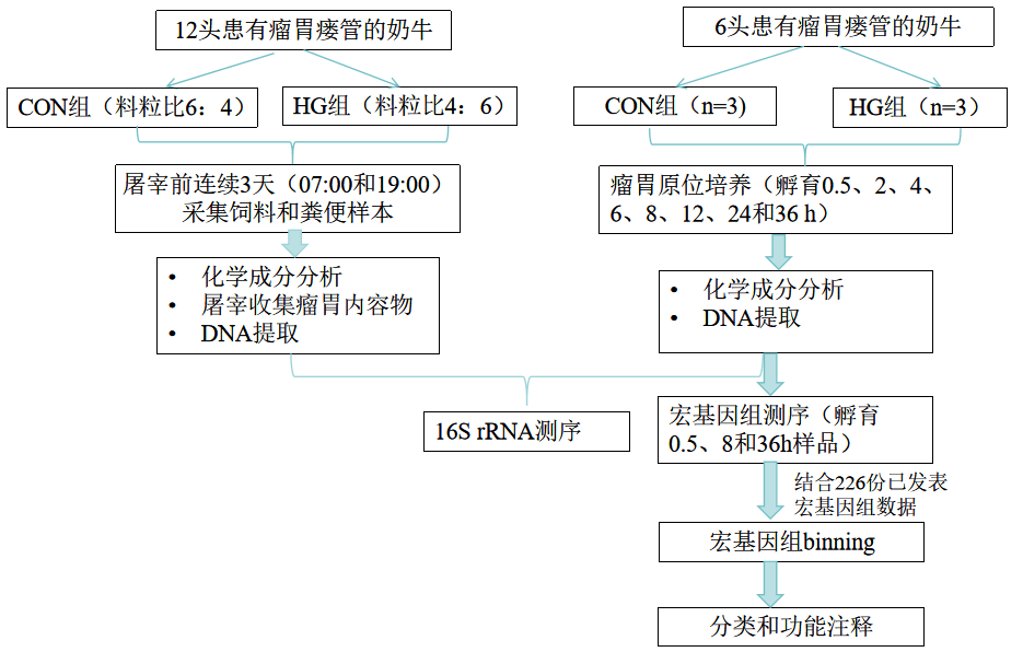 双a杂志！写微生态论文，引用一篇文章足矣